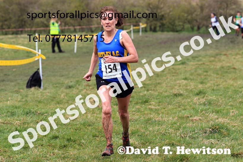 Womens and Mens 65+ in the 2023 BMAF Cross Country Champs., Wallsend. Photo: David T. Hewitson/Sports for All Pics